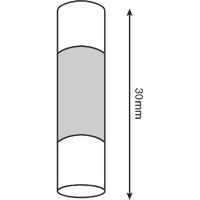 MF2-30 - 30AMP 30MM GLASS FUSE (10/PKT)